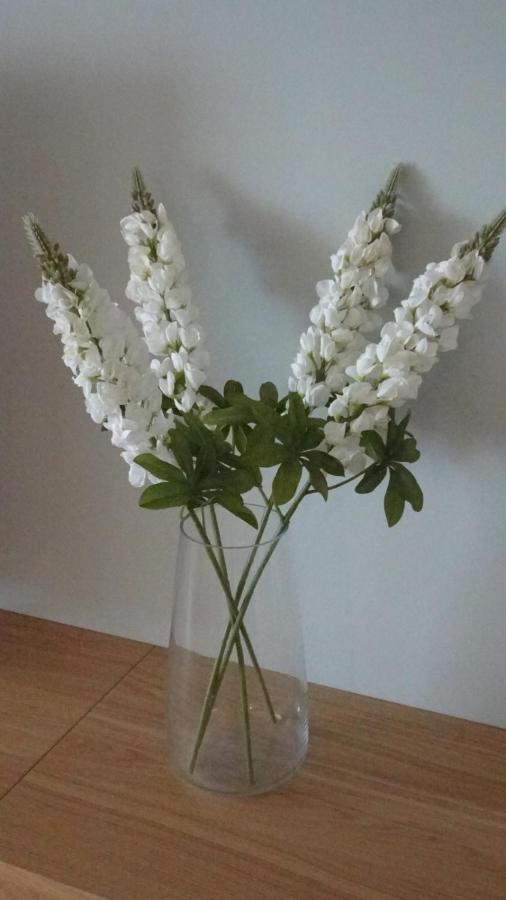 טורוקס Seasight Apartment Calaceite מראה חיצוני תמונה